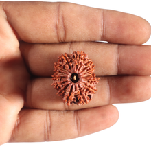 Load image into Gallery viewer, 14 Mukhi Nepalese Rudraksha - Bead No. 154
