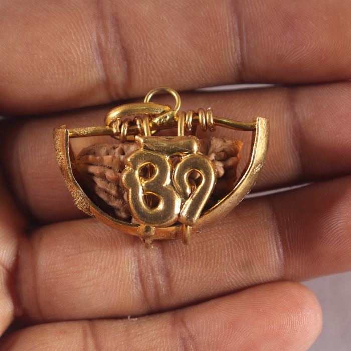 1 Mukhi half moon shaped from India - Bead No. 355