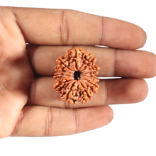 Load image into Gallery viewer, 11 Mukhi Nepalese Rudraksha - Bead No. 435
