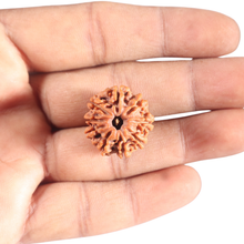 Load image into Gallery viewer, 9 Mukhi Nepalese Rudraksha - Bead No. 441
