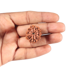 Load image into Gallery viewer, 9 Mukhi Nepalese Rudraksha - Bead No. 322
