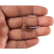 Load image into Gallery viewer, Indonesian Garbh Gauri Rudraksha - Bead No. 27
