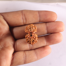 Load image into Gallery viewer, Gaurishanker Nepalese Rudraksha Bead No. - 263
