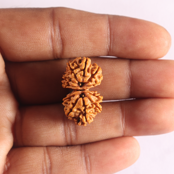Gaurishanker Nepalese Rudraksha Bead No. - 258
