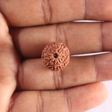 Load image into Gallery viewer, 9 Mukhi Rudraksha from Indonesia - Bead No. 243
