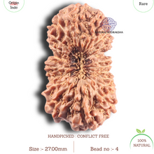 Load image into Gallery viewer, 20 Mukhi Indonesian Rudraksha - Bead 4
