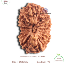 Load image into Gallery viewer, 18 Mukhi Rudraksha from Indonesia - Bead No. 76
