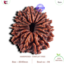 Load image into Gallery viewer, 15 Mukhi Rudraksha from Nepal - Bead No. 84
