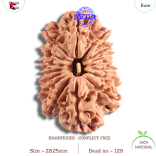 Load image into Gallery viewer, 16 Mukhi Rudraksha from Nepal - Bead No. 128
