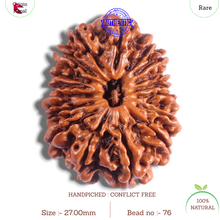 Load image into Gallery viewer, 17 Mukhi Nepalese Rudraksha - Bead No. 76

