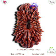 Load image into Gallery viewer, 18 Mukhi Rudraksha from Nepal - Bead No. 62
