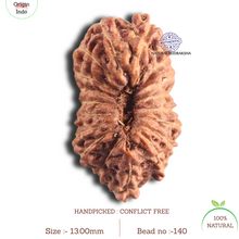 Load image into Gallery viewer, 18 Mukhi Rudraksha from Indonesia - Bead No. 140
