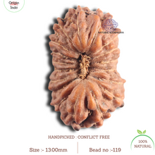 Load image into Gallery viewer, 18 Mukhi Rudraksha from Indonesia - Bead No. 119
