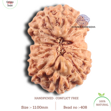 Load image into Gallery viewer, 14 mukhi Indonesian Rudraksha -  Bead No.408
