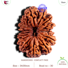 Load image into Gallery viewer, 15 Mukhi Rudraksha from Nepal - Bead No. 30

