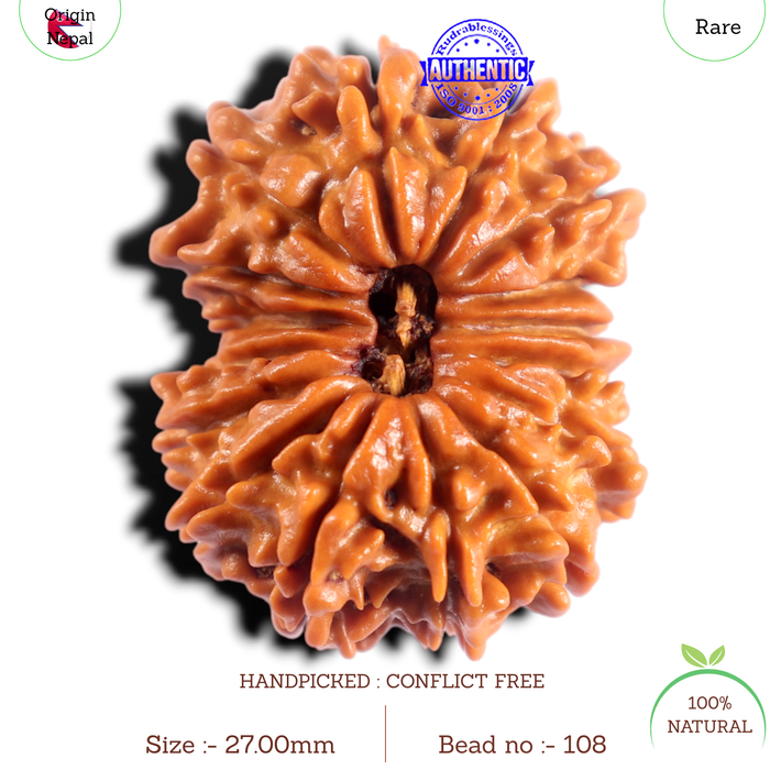16 Mukhi Rudraksha from Nepal - Bead No. 108