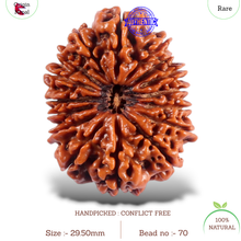 Load image into Gallery viewer, 16 Mukhi Rudraksha from Nepal - Bead No. 70
