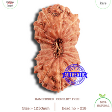 Load image into Gallery viewer, 18 Mukhi Rudraksha from Indonesia - Bead No. 218
