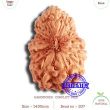 Load image into Gallery viewer, 18 Mukhi Rudraksha from Indonesia - Bead No. 207
