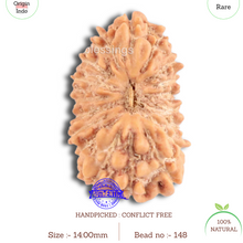 Load image into Gallery viewer, 18 Mukhi Rudraksha from Indonesia - Bead No. 148
