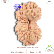 Load image into Gallery viewer, 18 Mukhi Rudraksha from Indonesia - Bead No. 70
