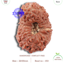 Load image into Gallery viewer, 18 Mukhi Rudraksha from Indonesia - Bead No. 153
