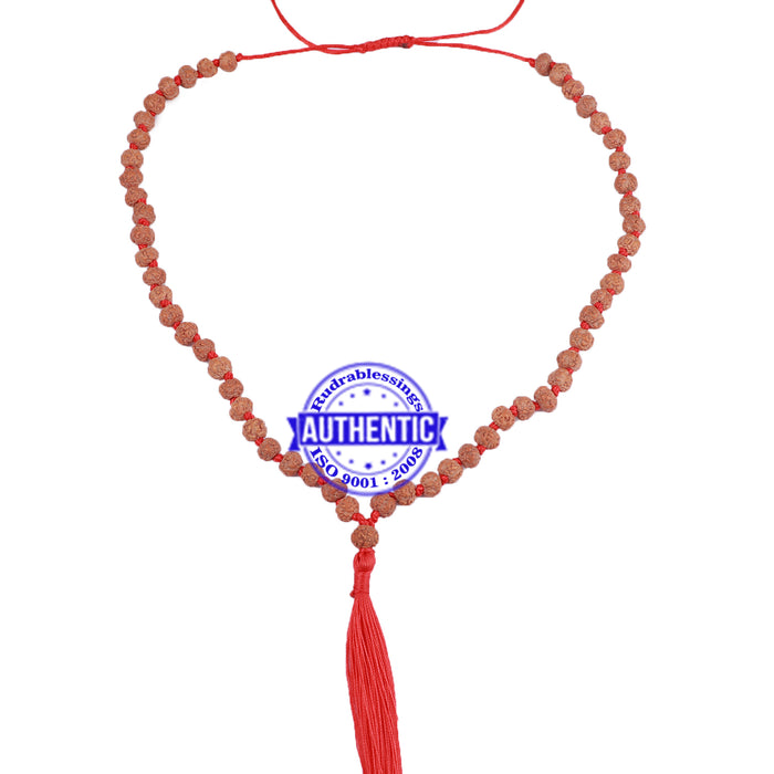 Non Mukhi Rudraksha Mala - 54+1 beads