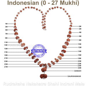 Rudraksha Nakshatra Shahi Indrani Mala from Indonesia