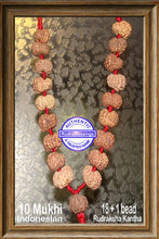 Load image into Gallery viewer, 10 mukhi Rudraksha Wrist Mala (18 + 1 beads - Indonesian)
