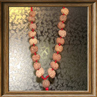 10 mukhi Rudraksha Wrist Mala (18 + 1 beads - Indonesian)