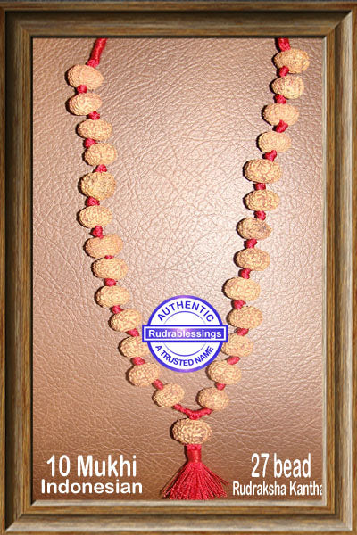 10 mukhi Rudraksha Mala (27 beads - Indonesian)