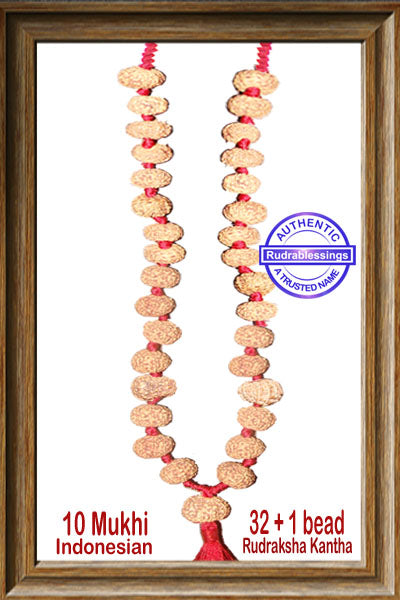 10 Mukhi Rudraksha Kantha (32 +1 beads - Indonesian)