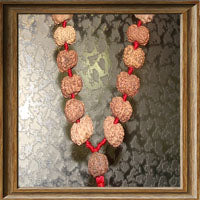 10 mukhi Rudraksha Mala (54 + 1 beads - Indonesian)