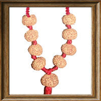 Load image into Gallery viewer, 10 mukhi Rudraksha Wrist Mala / Kanthas (9 beads - Indonesian)
