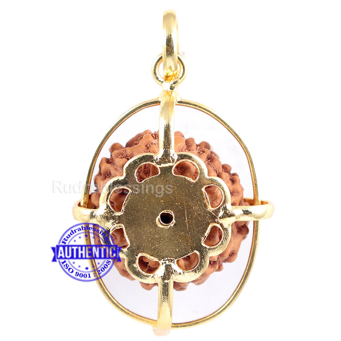 10 Mukhi Rudraksha from Indonesia - Bead No. 134 (Gold Plated Bracket)