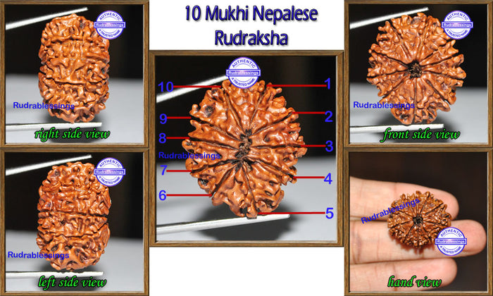 10 Mukhi Nepalese Radha Krishna Pendant - Bead No. 2