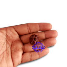 Load image into Gallery viewer, 10 Mukhi Nepalese Rudraksha - Bead No. 329
