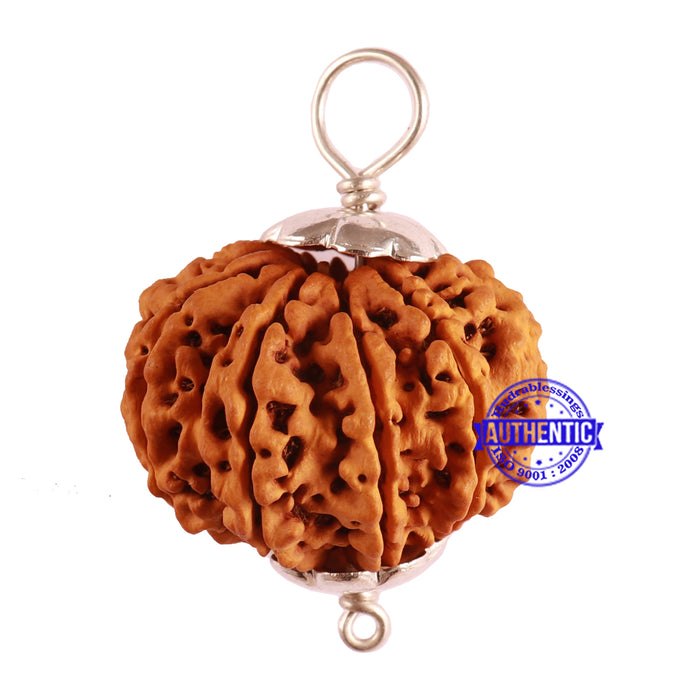 10 Mukhi Nepalese Rudraksha - Bead No. 7