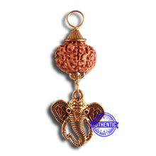 Load image into Gallery viewer, 10 Mukhi Rudraksha from Indonesia - Bead No. 142  (with ganesh accessory)
