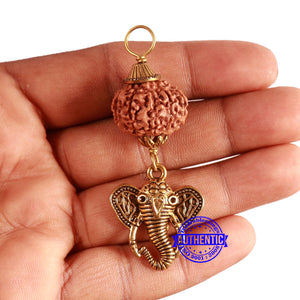 10 Mukhi Rudraksha from Indonesia - Bead No. 142  (with ganesh accessory)