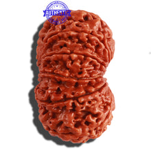 Load image into Gallery viewer, 11 Mukhi Nepalese Rudraksha - Bead No. 293
