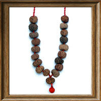 Load image into Gallery viewer, 11 mukhi Rudraksha Wrist Mala (18 + 1 beads - Indonesian)
