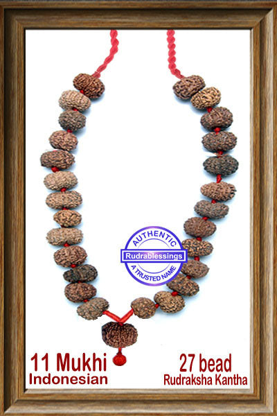 11 mukhi Rudraksha Mala (27 beads - Indonesian)