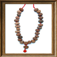 Load image into Gallery viewer, 11 mukhi Rudraksha Mala (27 beads - Indonesian)
