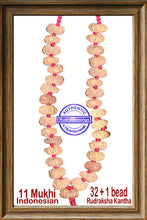 Load image into Gallery viewer, 11 mukhi Rudraksha kantha - Indonesian (32 + 1 beads)
