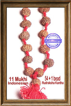 Load image into Gallery viewer, 11 mukhi Rudraksha Mala (54 + 1 beads - Indonesian)
