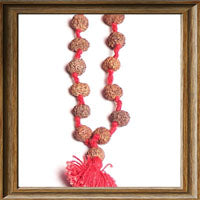 Load image into Gallery viewer, 11 mukhi Rudraksha Mala (54 + 1 beads - Indonesian)
