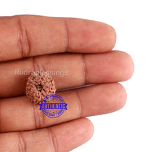 Load image into Gallery viewer, 11 Mukhi Indonesian Rudraksha - Bead No. 30

