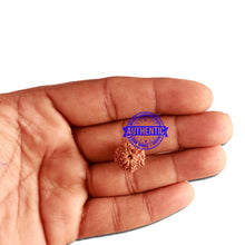 Load image into Gallery viewer, 11 Mukhi Indonesian Rudraksha - Bead No. 210
