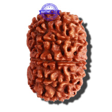 Load image into Gallery viewer, 11 Mukhi Nepalese Rudraksha - Bead No. 281
